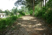 Another $90 Million ADB Loan: This time to Improve Rural Roads