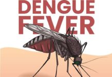 Sri Lanka Records Over 82,000 Dengue Cases as July Sees Highest Monthly Surge