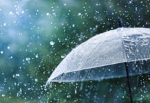 Showers, Strong Winds and Rough Seas Forecast Across Sri Lanka; Heat Advisory Issued for Eight Districts