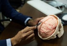 Iran Unveils Laboratory-Grown ‘Artificial Brain’ Powered by Human Neurons