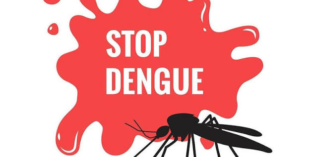 dengue 21