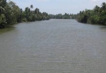 Minor Flood Warning Issued for Mahaweli River Basin