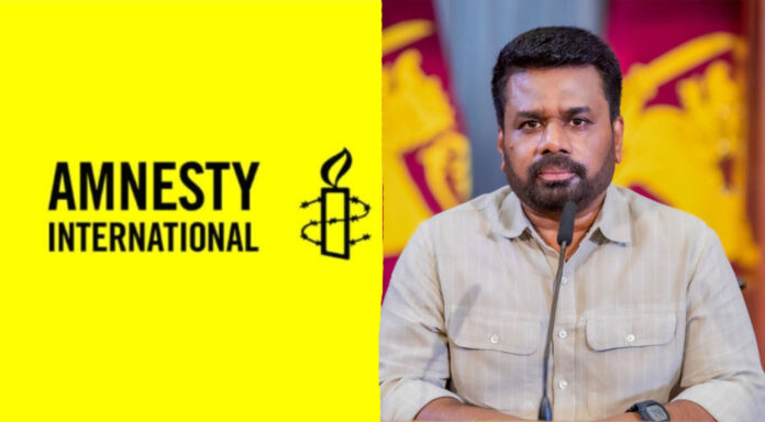 Amnesty