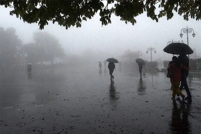 Rain